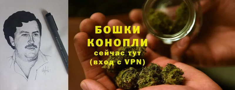 Бошки марихуана SATIVA & INDICA  мориарти телеграм  Звенигород 